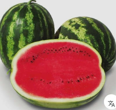 Ау продюссер Pop Vriend Seeds 500гр