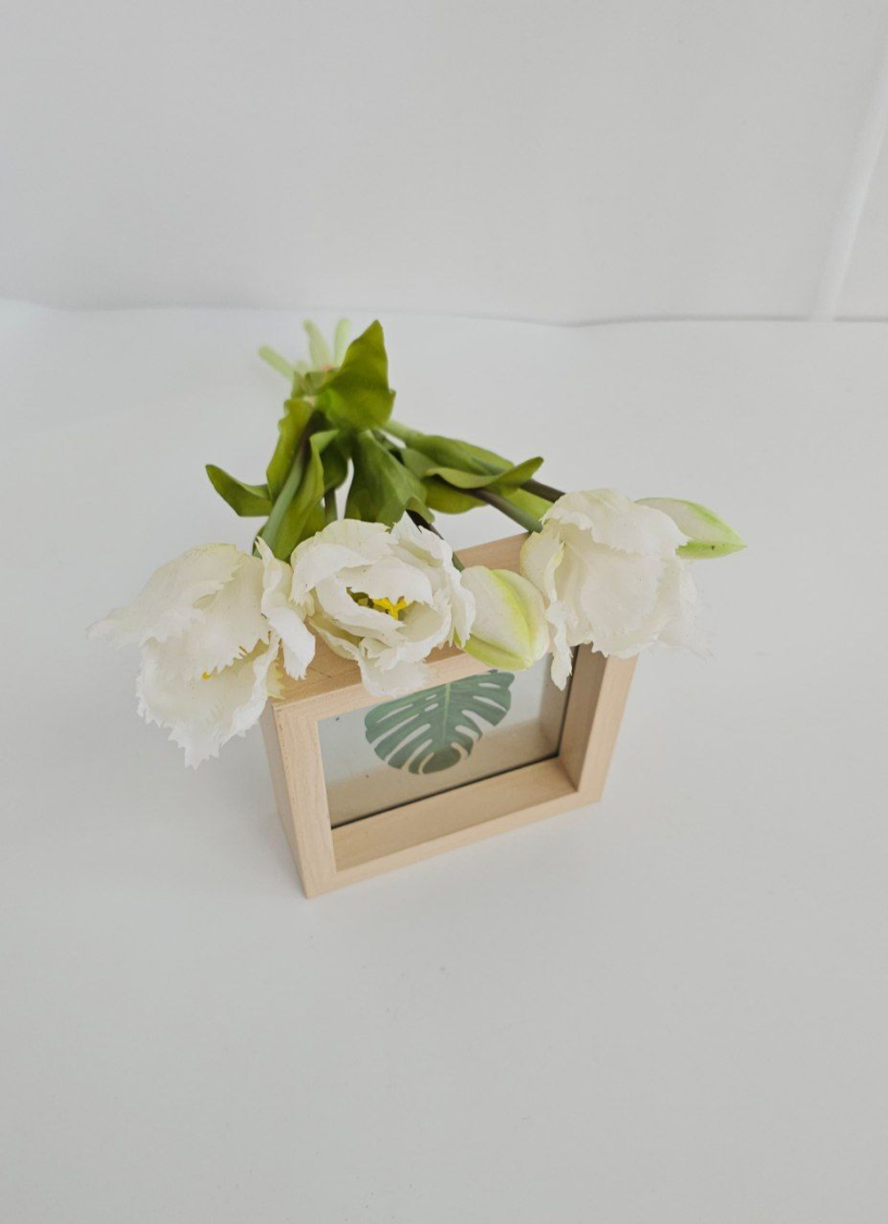 Тюльпаны бахромчатые / Арт 2541