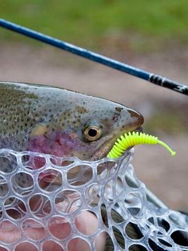 Слаги съедобные LJ Pro Series TRICK WORM 2,0in (5 см), цв. S88, 10 шт.