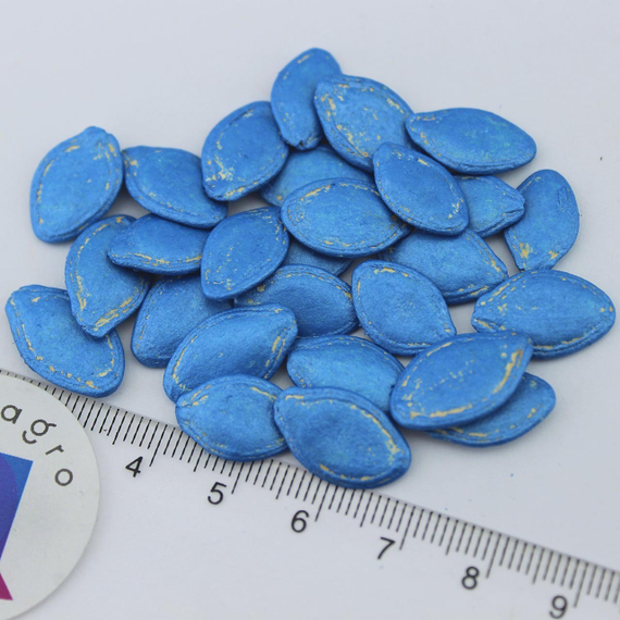 АРАЛ F1 семена кабачка Sakata купить – фото 12