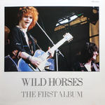 Wild Horses / Wild Horses (LP)