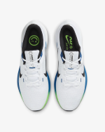 Мужские кроссовки Nike AIR WINFLO 10