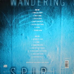 Mick Jagger / Wandering Spirit (LP)