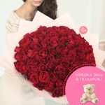 Розы красные 40 см (Premium) 101 шт