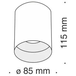 Потолочный светильник Изящность / Slim 1*GU10 10 Вт Technical c014cl-01b