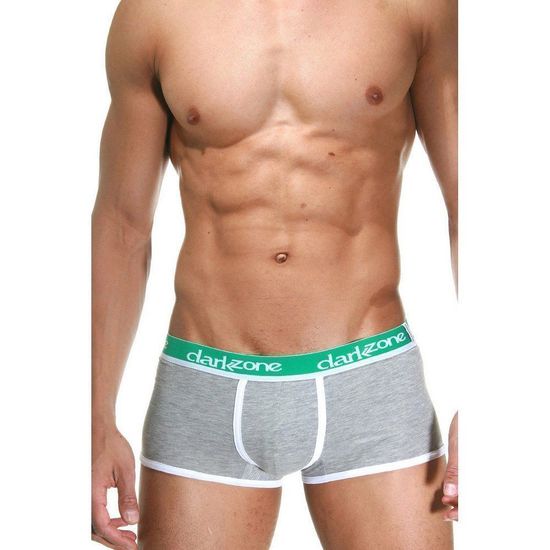 Трусы мужские боксеры серые DARKZONE DZN3203