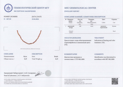 Держатель/Шнурок/Цепочка для очков из натурального калининградского янтаря