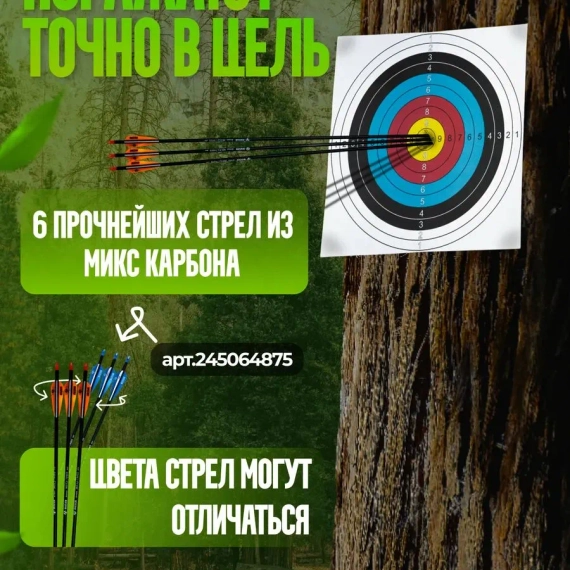 Лук cпортивный олимпик со стрелами