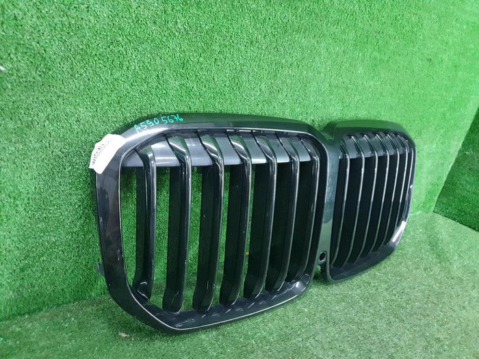 Решетка радиатора BMW X7 G07 (2019-2022)