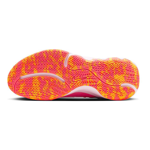 НАЙК Яннис Бессмертие 2 Детские баскетбольные мячи Низенький Вер Юнисекс