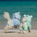 023 Шапка "Медведь" /капюшон к комбезам 671/672 PREMIUM (SSOOOK)