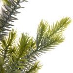 Елка в горшке «Ягодное очарование» 60 см