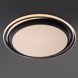 Потолочный светильник Freya FR10031CL-L98B