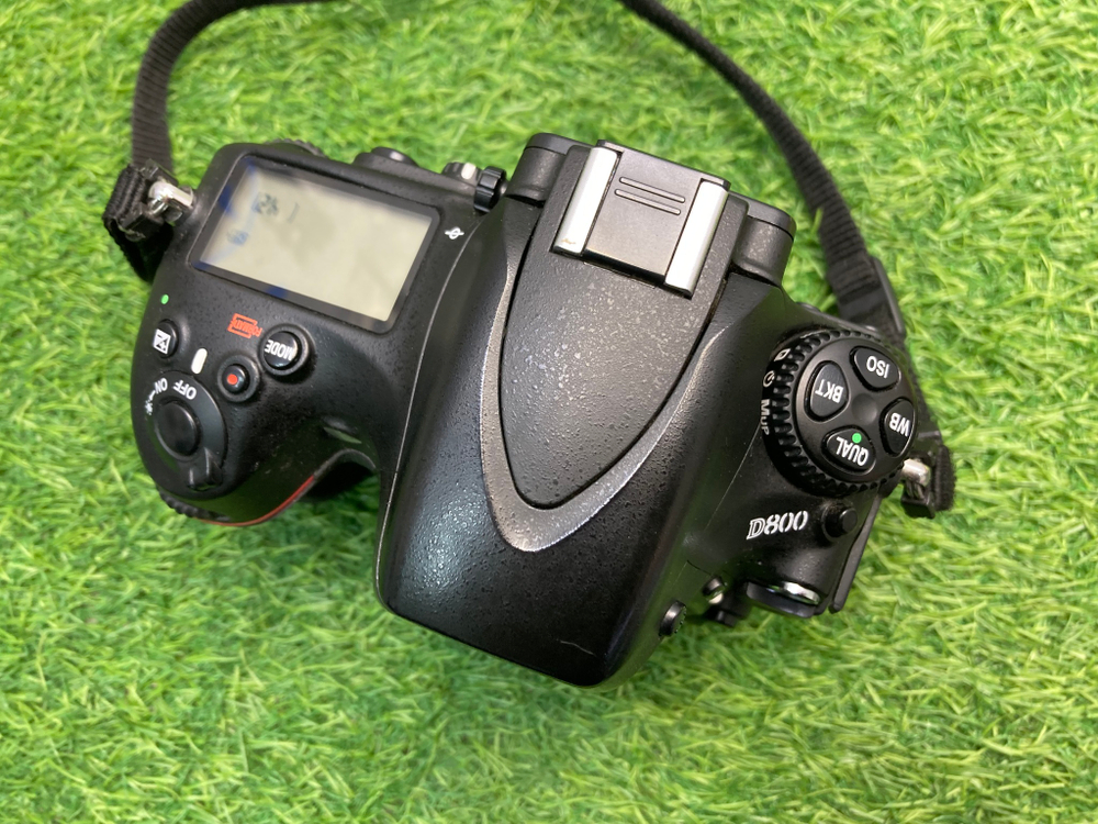 Nikon D800 12.000 кадров
