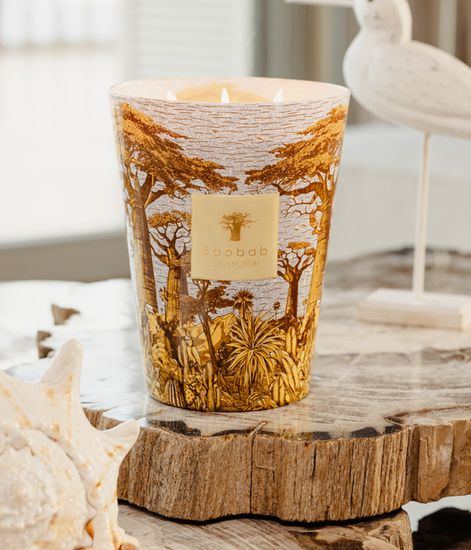 Cocody, свеча MAX 16 Sacred Trees collection, Baobab Collection