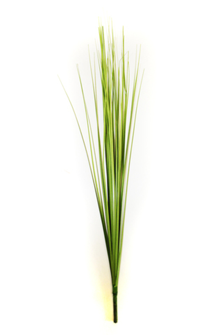 Осока кустовая