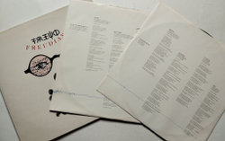 Винтажная виниловая пластинка LP The Alan Parsons Project Freudiana 2LP (Spain 1990)