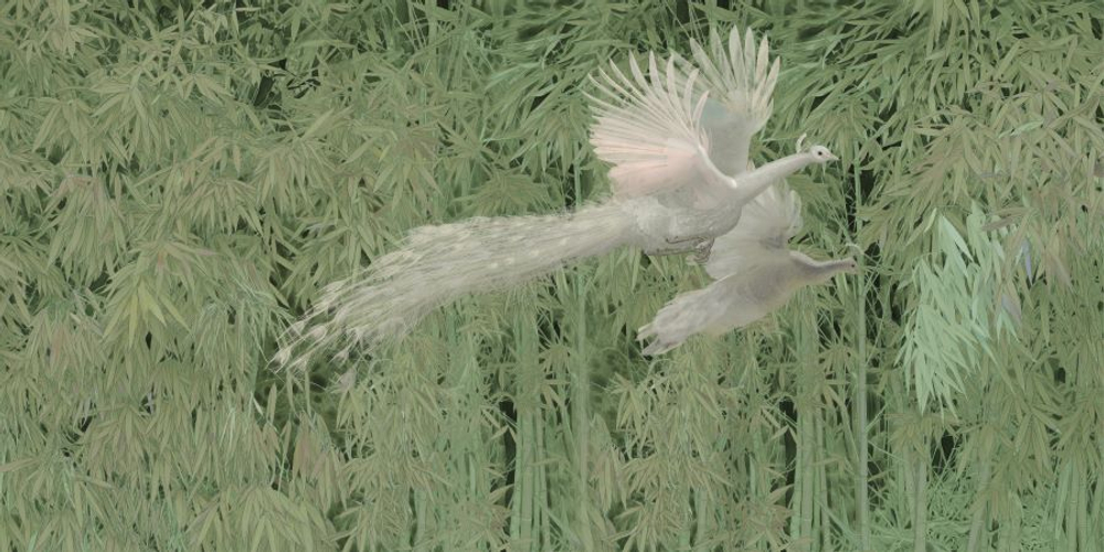 Фреска Applico, коллекция Natura