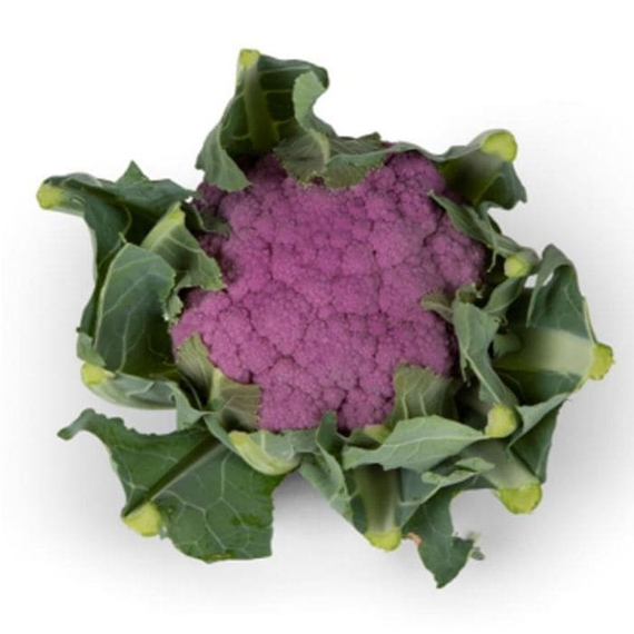 ПУРПУРИНА F1 семена капусты цветной (Sakata | Alexagro) – фото 2