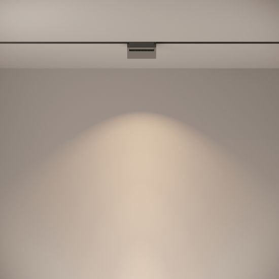 Трековый светильник Technical TR013-2-10W4K-B