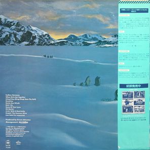 The Beach Boys / Keepin' The Summer Alive (LP)