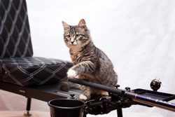 Механизм регулировки держателя удочки FINAL BOSS