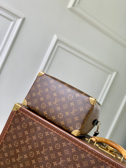 Louis Vuitton Speedy Trunk 25