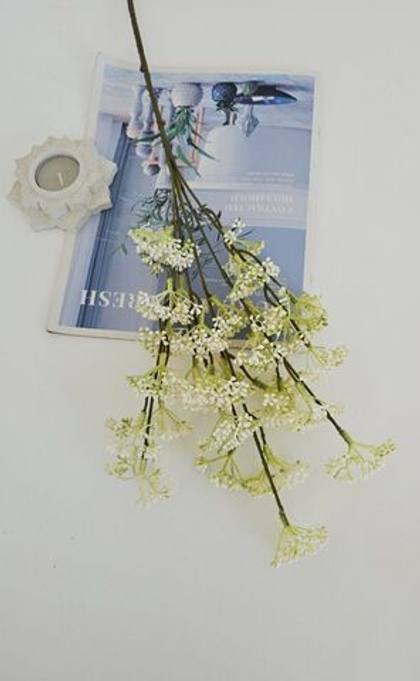 Седум белый / Арт 6344