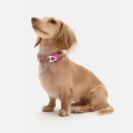 Ошейник Hot Flames