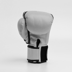 Перчатки боксерские Twins FBGVDM3-TW6