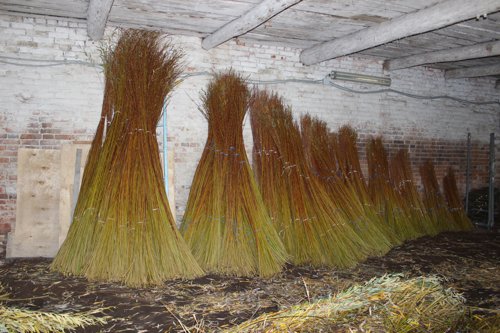 Прут ивовый неочищенный Арт№ SP60GR