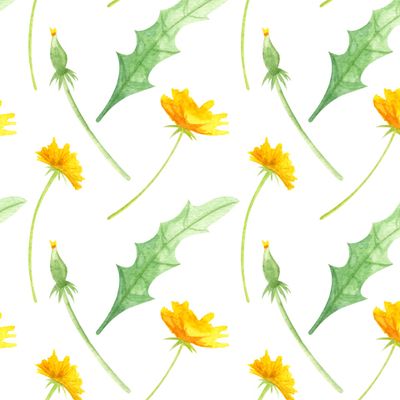 Одуванчики