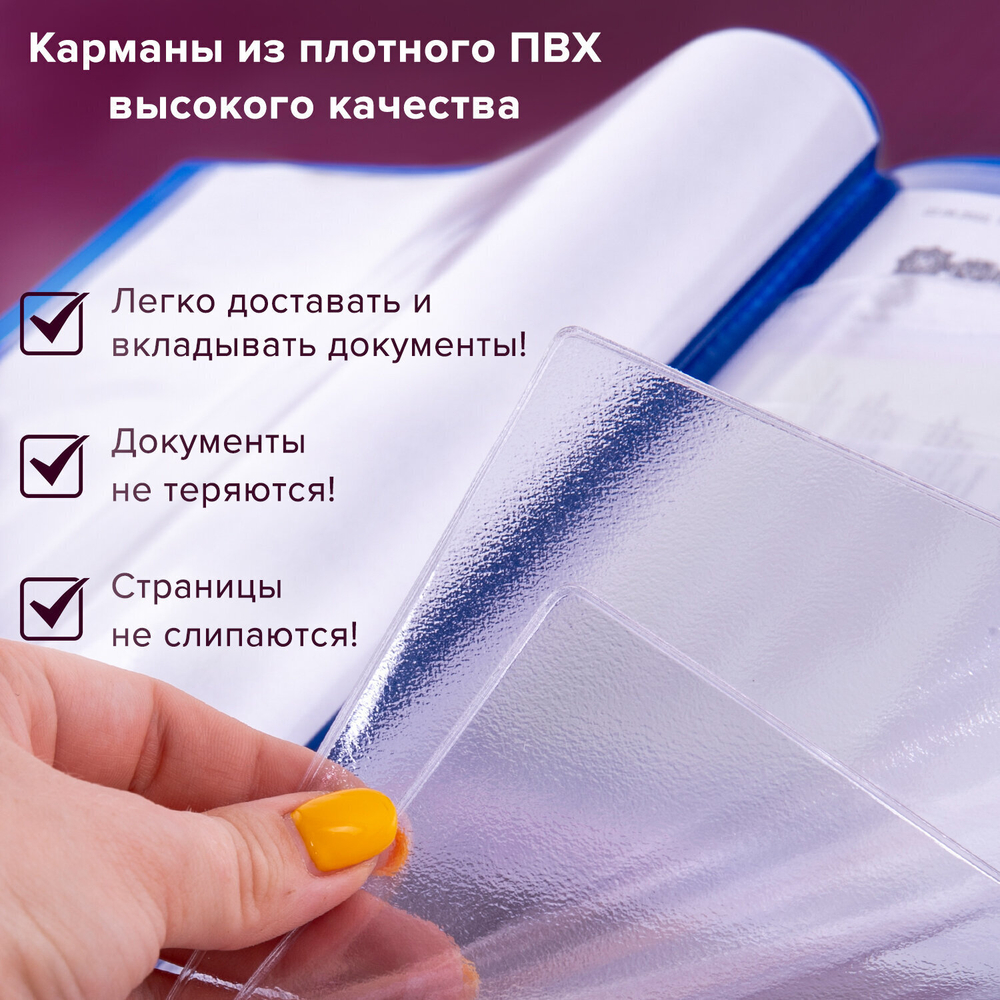 Папка для семейных документов с файлами (паспорта свидетельства полисы СНИЛС) STAFF 16 отделений ПВХ синий (2 штуки в упаковке)