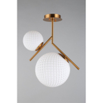 Потолочная люстра Aployt Marzena APL.300.07.02