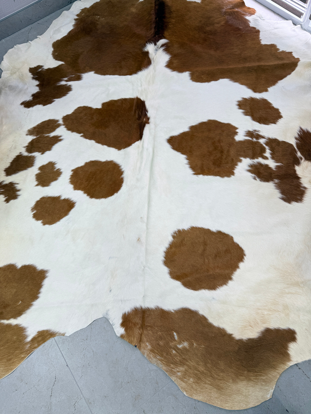 Коровья шкура на пол натуральная. 200 х 190 см