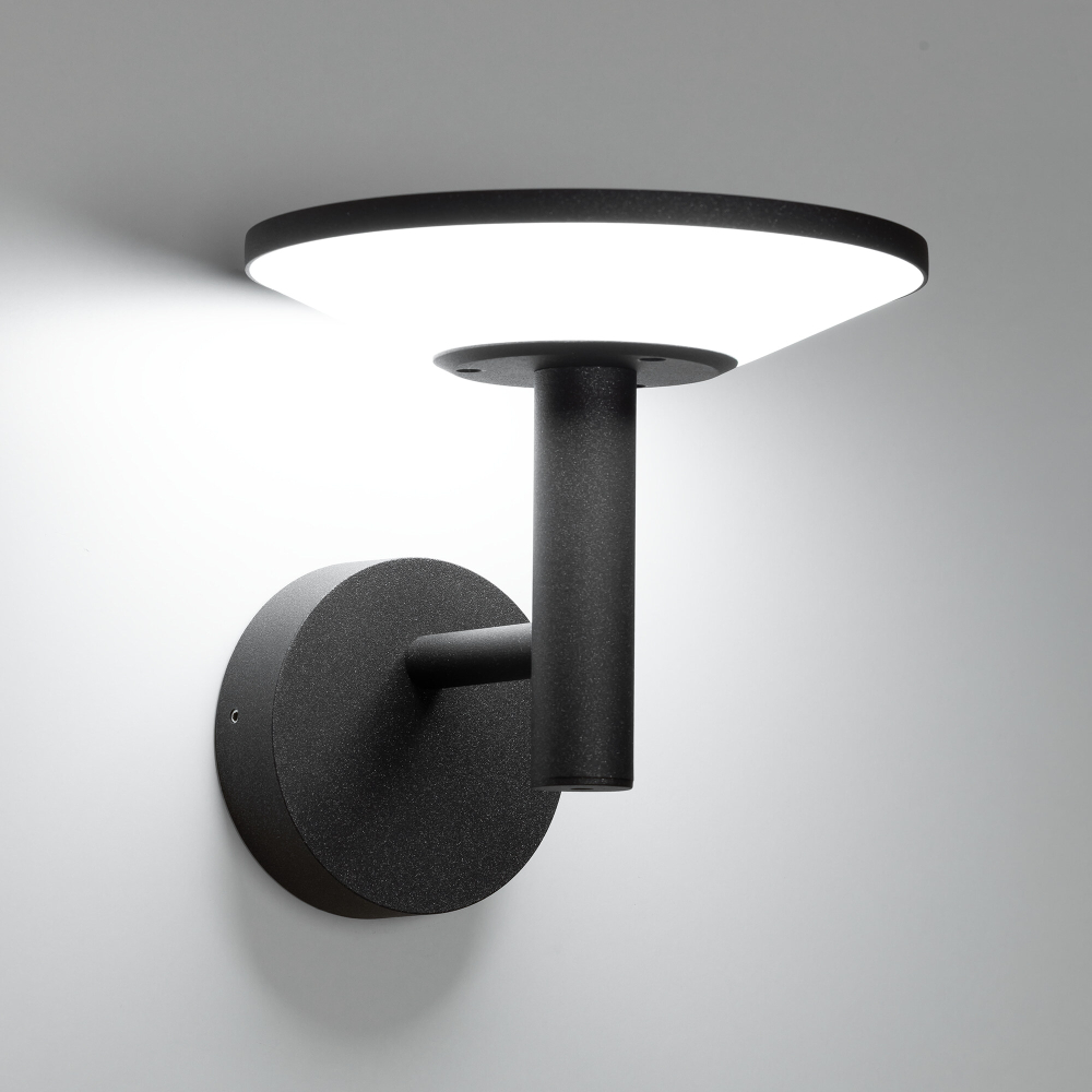 Citilux Dorn CLU05W LED Уличный настенный светильник Графит