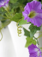 Искусственные цветы для декора в кашпо