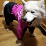 Комбинезон для собаки дождевик демисезонный White Wolf вырез на девочку розово-чёрный