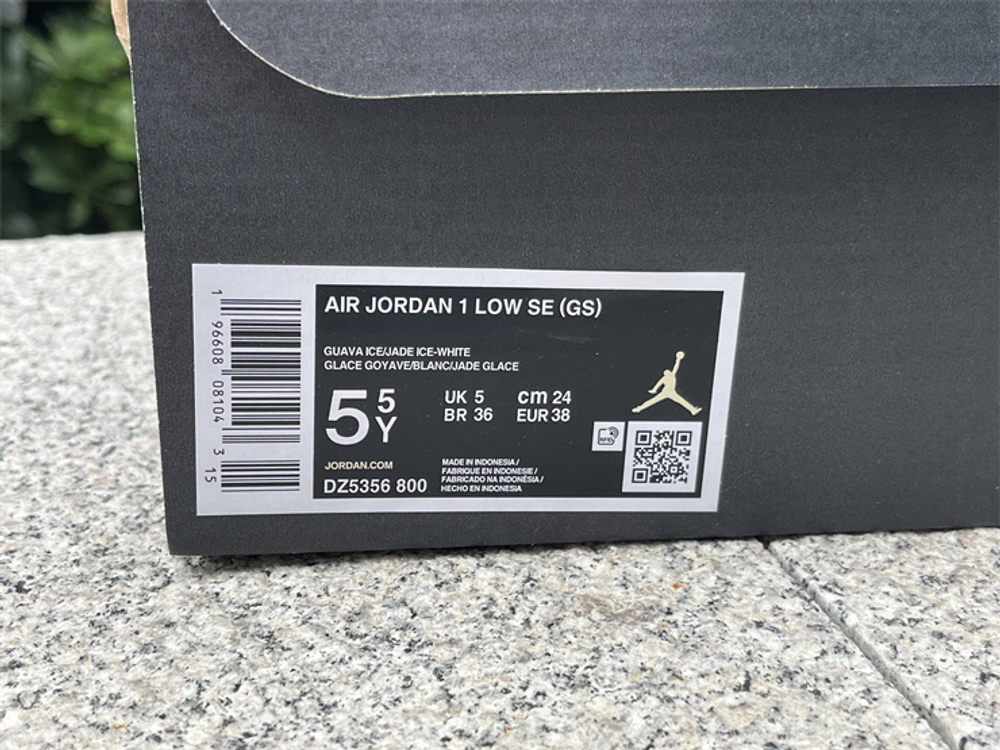 Air Jordan 1 Low DZ5356-800