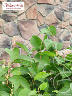 Искусственный камень White Hills, коллекция Рутланд