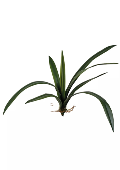 Куст средний с 10 сил.листьями