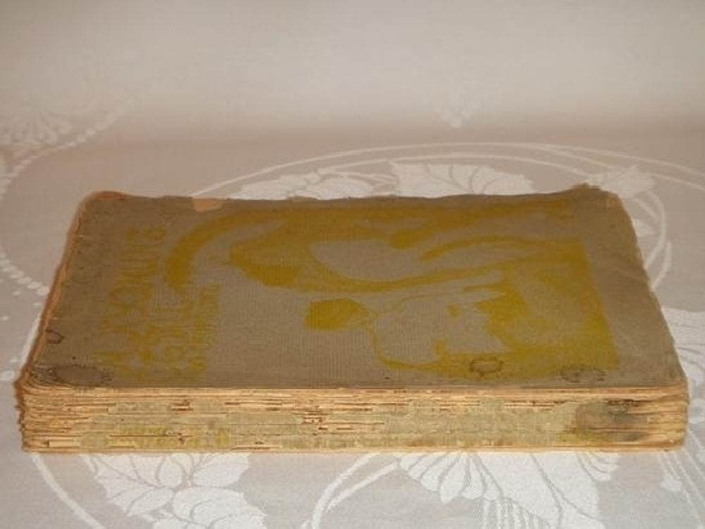 "Сети. Первая книга стихов". Михаил Кузмин. 1908 г.