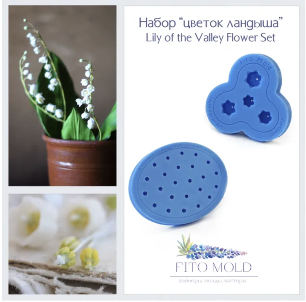 Вайнер цветка ландыша фитомолд