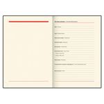 Ежедневник недатированный А5 138х213 мм BRAUBERG "FLAME", под кожу, 160 л., черный, зеленый срез, 113428