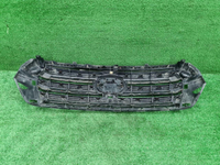 Решетка радиатора Toyota Land Cruiser 200 (15-21)