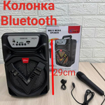 Колонка портативная беспроводная ZQS 6142 с микрофоном