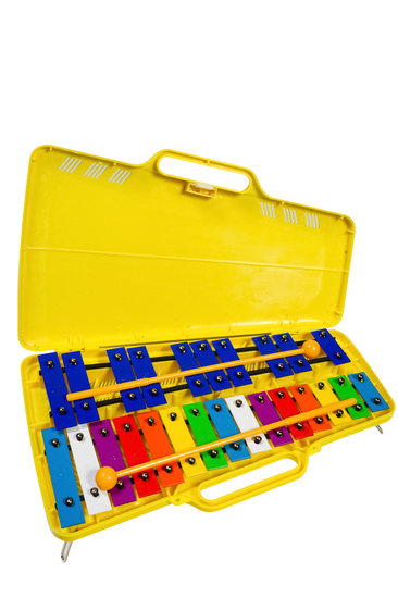 Металлофон FLIGHT FM 25YL