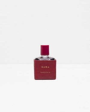 Zara Gardenia 2016