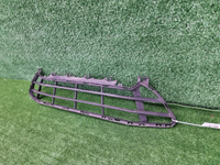 Решетка переднего бампера BMW X1 F48 (2019-2022)