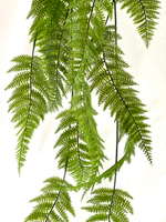Папоротник многорядник 120 см